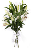 Luxury Royal White Lily Bouquet