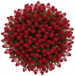 Luxury Skimmia Rubella Bouquet - Flowers Box London