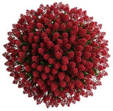Luxury Skimmia Rubella Bouquet - Flowers Box London