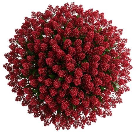 Luxury Skimmia Rubella Bouquet - Flowers Box London
