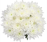 Luxury White Chrysanthemum Bouquet - Flowers Box London
