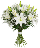 Luxury White Lily with Gypsophila Bouquet - Flowers Box London