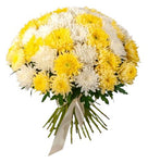 Luxury White & Yellow Chrysanthemum Bouquet