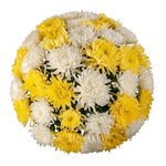 Luxury White & Yellow Chrysanthemum Bouquet - Flowers Box London