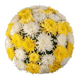 Luxury White & Yellow Chrysanthemum Bouquet - Flowers Box London