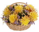 Luxury Yellow Dahlia with Clematis Basket - Flowers Box London