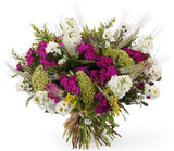 Magic Bouquet of White Stocks and Celosia