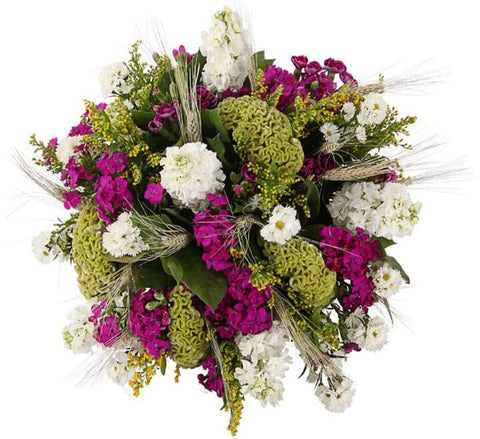 Magic Bouquet of White Stocks and Celosia