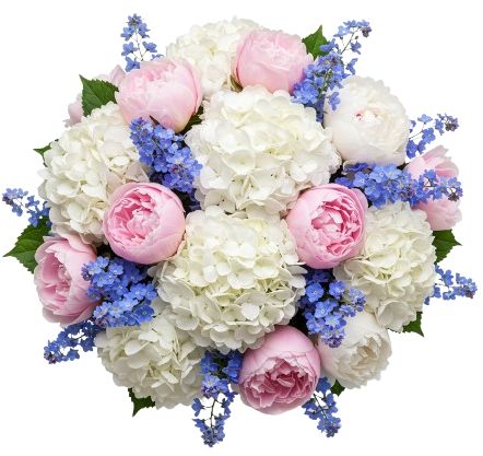 Magnificent Bouquet of Hydrangea and Peonies with Forget Me Not