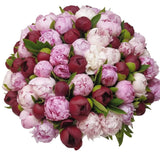 Magnificent Pink and Red Peonies Bouquet - Flowers Box London