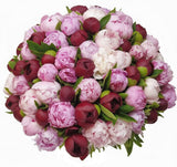 Magnificent Pink and Red Peonies Bouquet - Flowers Box London