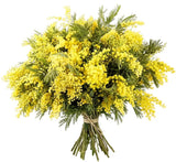 Mimosa Bouquet - Flowers Box London