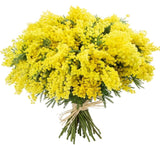 Mimosa Bouquet - Flowers Box London