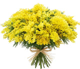 Mimosa Bouquet - Flowers Box London