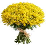 Mimosa Bouquet - Flowers Box London