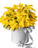 Mimosa Box - Flowers Box London