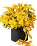 Mimosa Box - Flowers Box London