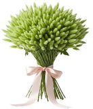 Mint Lagurus Bouquet - Flowers Box London