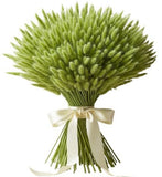 Mint Lagurus Bouquet - Flowers Box London