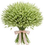 Mint Lagurus Bouquet - Flowers Box London
