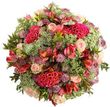 Misty Celosia Bouquet - Flowers Box London