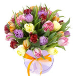 Multicolored Double Tulips Lovely Box