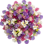 Multicolored Sweet Pea with Freesias Bouquet - Flowers Box London