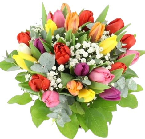 Multicolored Tulips Bouquet with Gypsophila