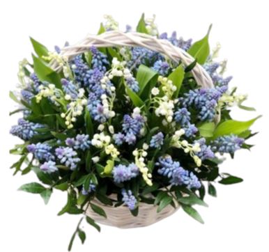 Muscari and Lily of the Valley Fragrant Basket