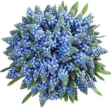 Muscari Bridal Bouquet
