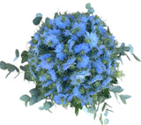 Nigella with Eucalyptus Bouquet - Flowers Box London