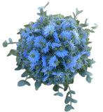 Nigella with Eucalyptus Bouquet