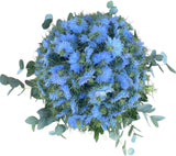 Nigella with Eucalyptus Bouquet