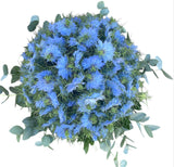 Nigella with Eucalyptus Luxury Flowers Box