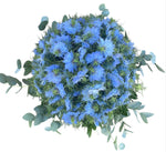 Nigella with Eucalyptus Luxury Flowers Box