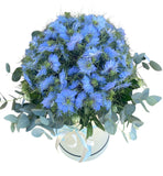 Nigella with Eucalyptus Luxury Flowers Box