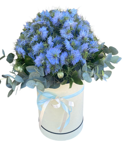 Nigella with Eucalyptus Luxury Flowers Box
