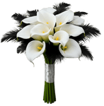 Noir Feather and Calla Lily Bouquet - Flowers Box London