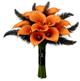 Noir Feather and Calla Lily Bouquet - Flowers Box London