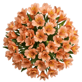 Orange Alstroemeria Bouqet - Flowers Box London