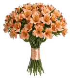 Orange Alstroemeria Bouqet - Flowers Box London
