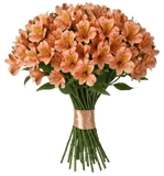 Orange Alstroemeria Bouqet - Flowers Box London
