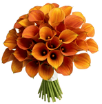 Orange Calla Lily Bouquet - Flowers Box London