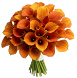 Orange Calla Lily Bouquet - Flowers Box London