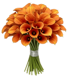 Orange Calla Lily Bouquet - Flowers Box London