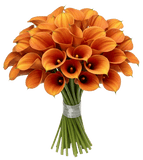 Orange Calla Lily Bouquet - Flowers Box London