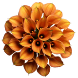 Orange Calla Lily Bouquet - Flowers Box London