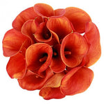 Orange Calla Lily Bouquet