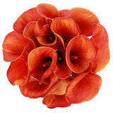 Orange Calla Lily Bouquet