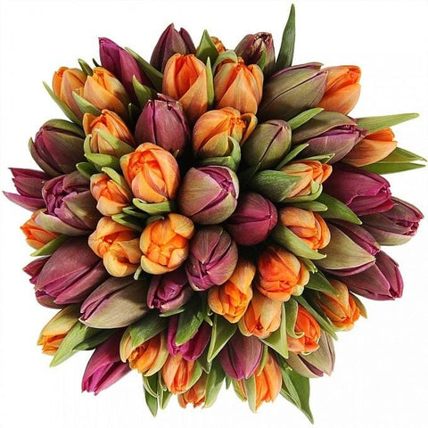 Orange & Cerise Double Tulips Bouquet - Flowers Box London